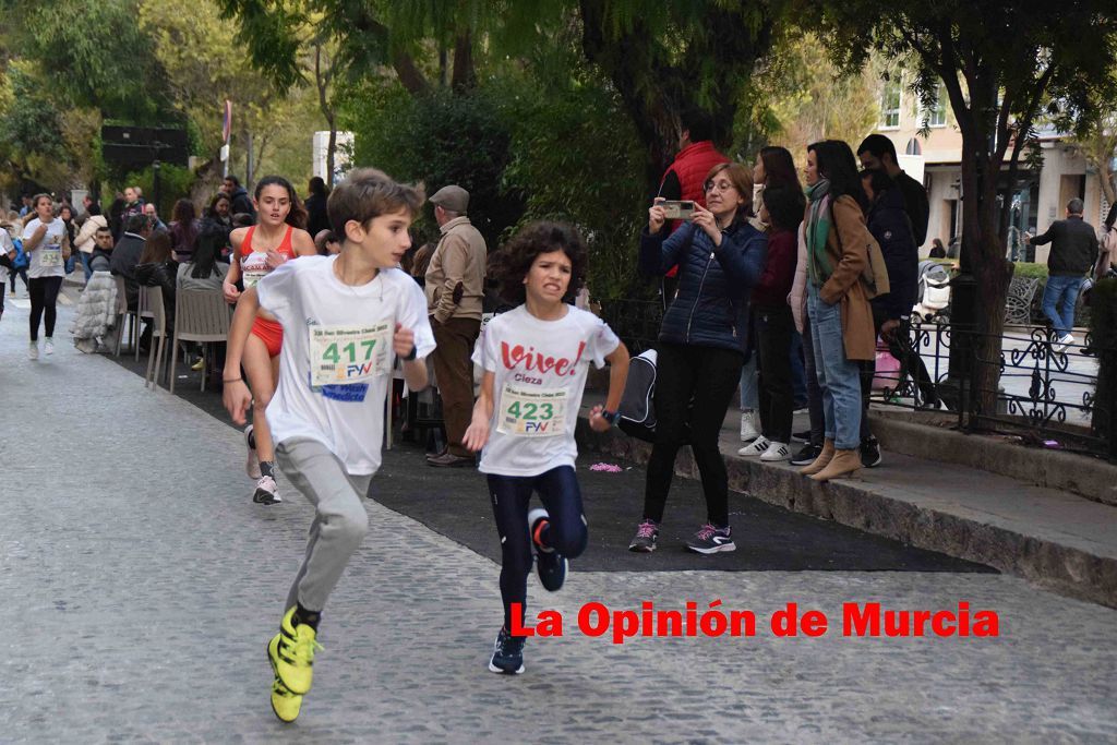 San Silvestre de Cieza (Parte I)