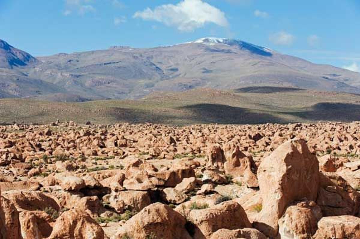 Formaciones rocosas en el desierto