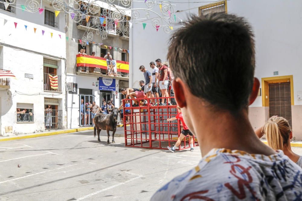 "Entrà de les Vaques" de Tibi