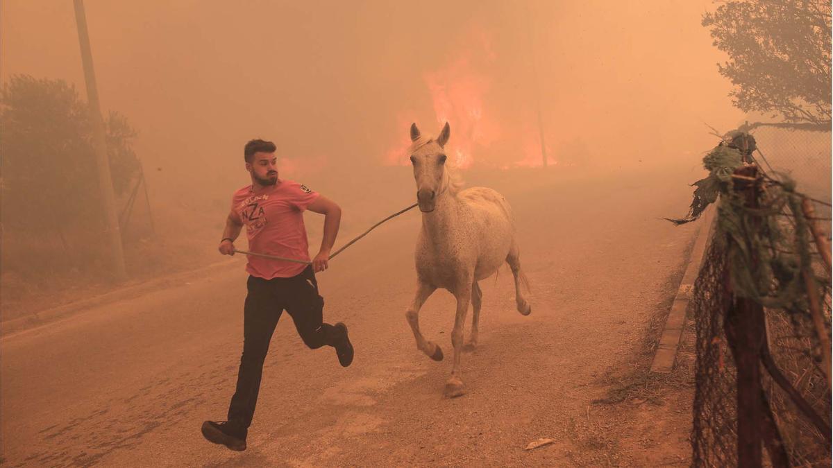 Un granjero se apresura a evacuar su caballo durante un incendio forestal en la zona de Fyli, cerca de Atenas