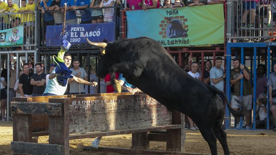 Festejos taurinos en el recinto ferial de Sagunt