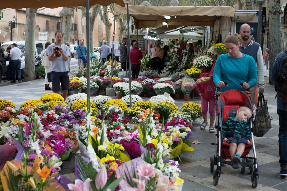 Inundación de flores en La Rambla de Palma