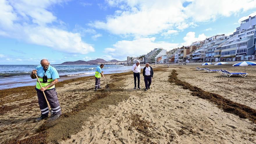 Este es el motivo por el que la seba de Las Canteras no se retira de golpe