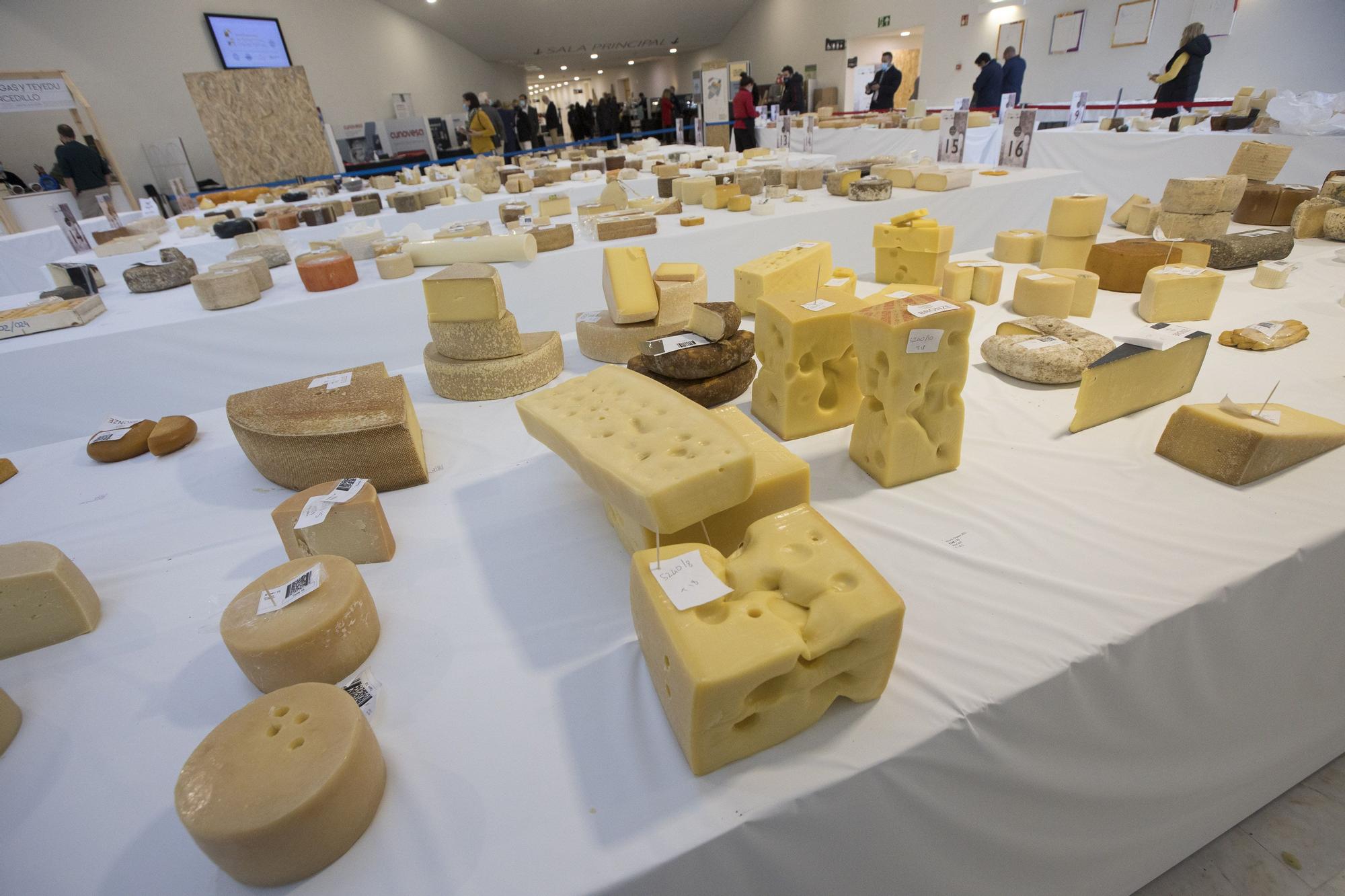 World Cheese Festival: las imágenes de los mejores quesos del mundo