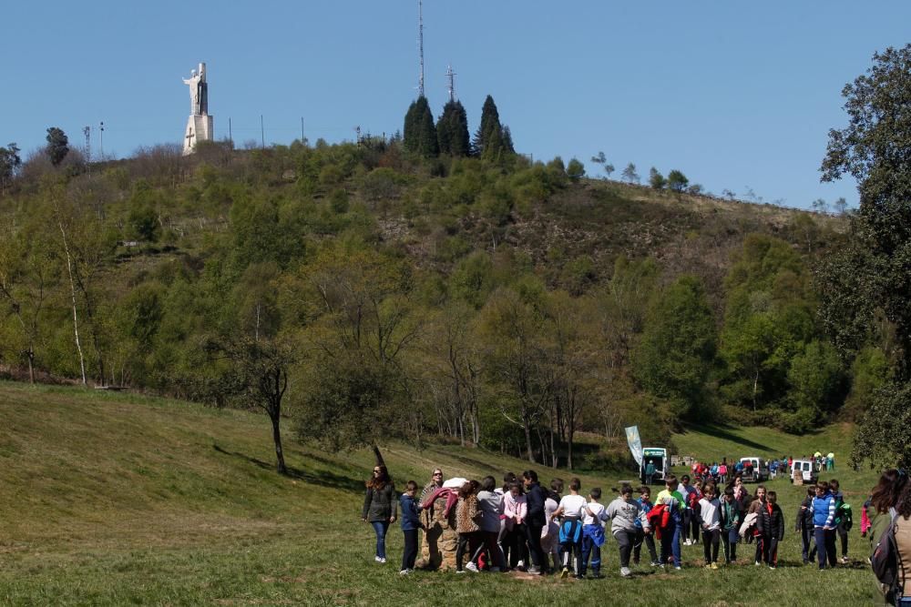 Plantación de árboles por escolares en el Naranco