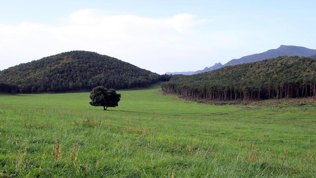 El Pla de Clarà (a la Nou de Berguedà) és on es vol construir la bassa o petit embassament, connectat amb la Baells