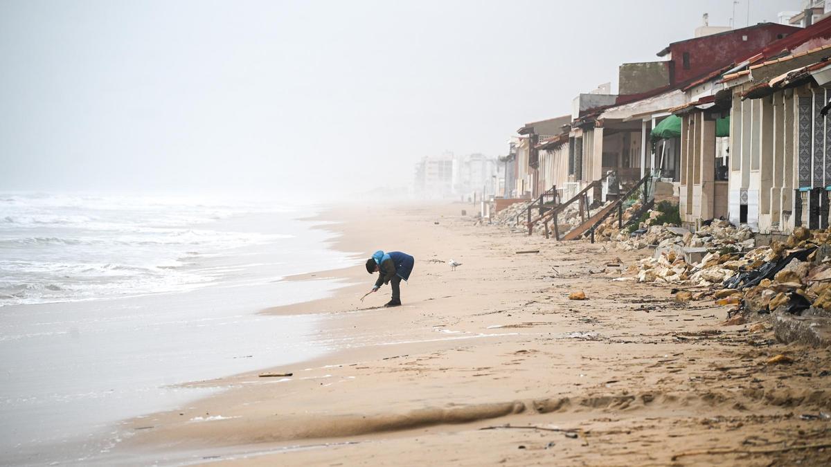 ¿Adiós a las casas de la playa de Babilonia de Guardamar?