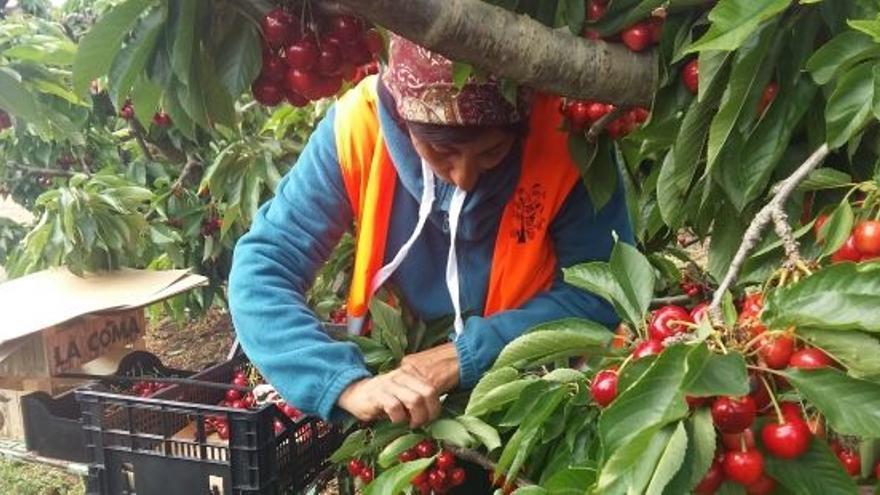 La herida del medio rural: la explotación laboral se dispara en los pueblos de Aragón