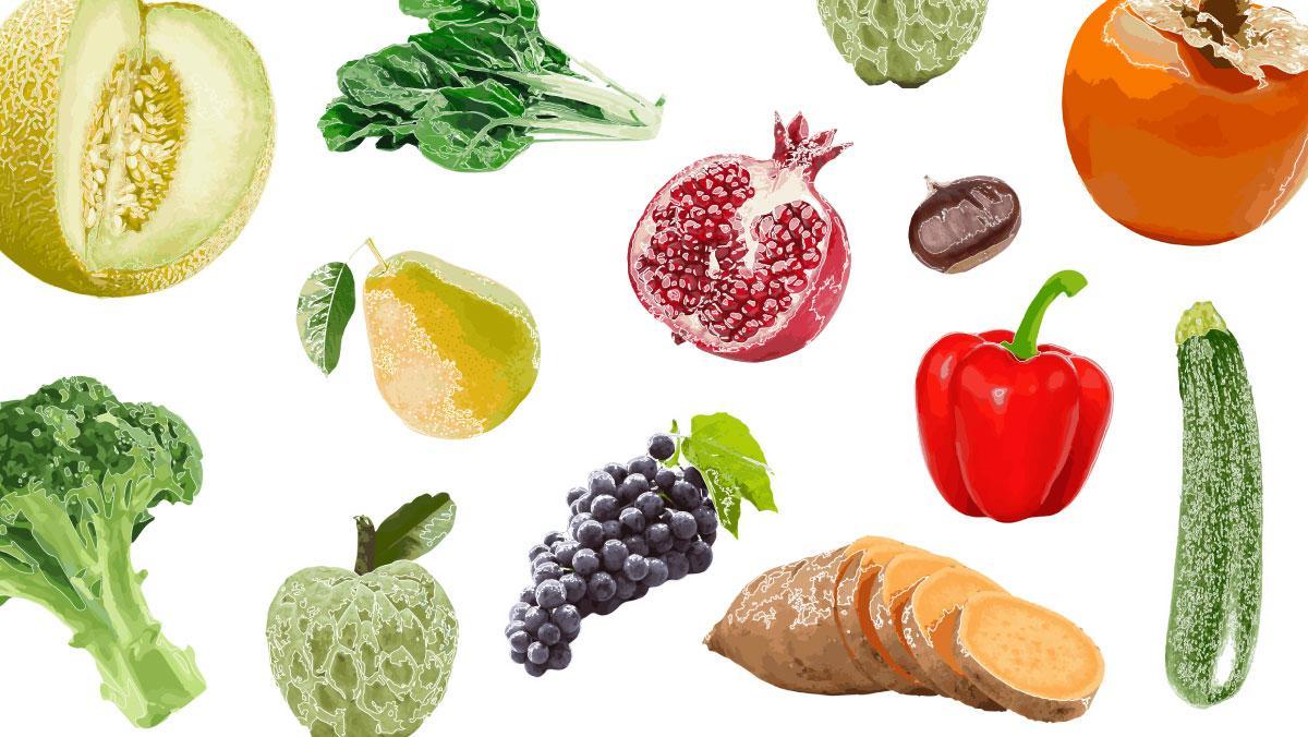 EL PERIÓDICO inicia una sèrie sobre productes de temporada per a una millor alimentació EL PERIÓDICO inicia una sèrie sobre productes de temporada per a una millor alimentació