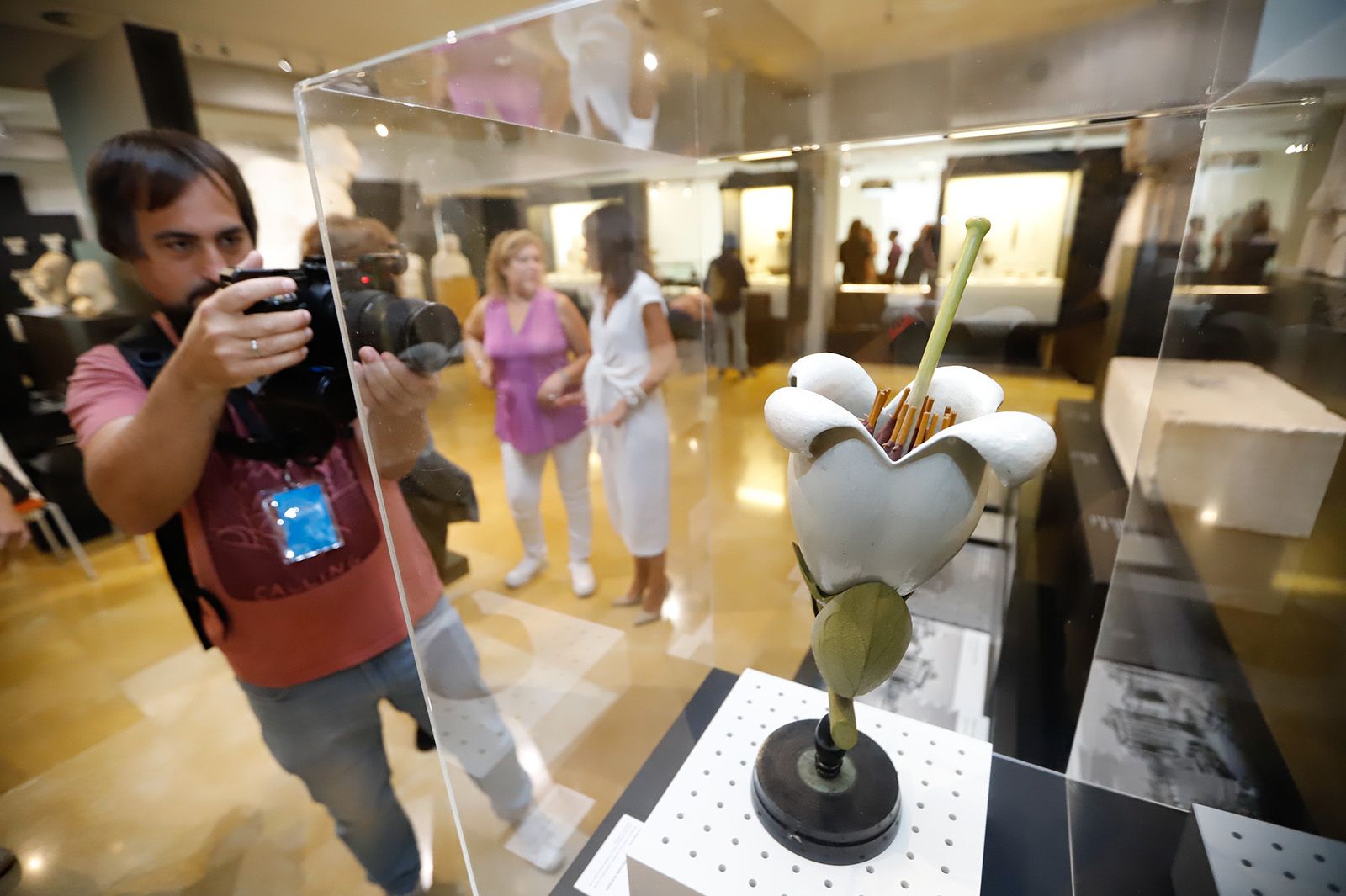 Flora expone el vínculo ancestral entre botánica y arqueología