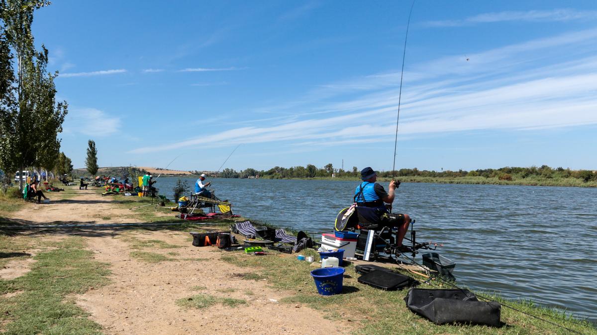 Participantes en un campeonato de pesca en el río Guadiana a su paso por Mérida.