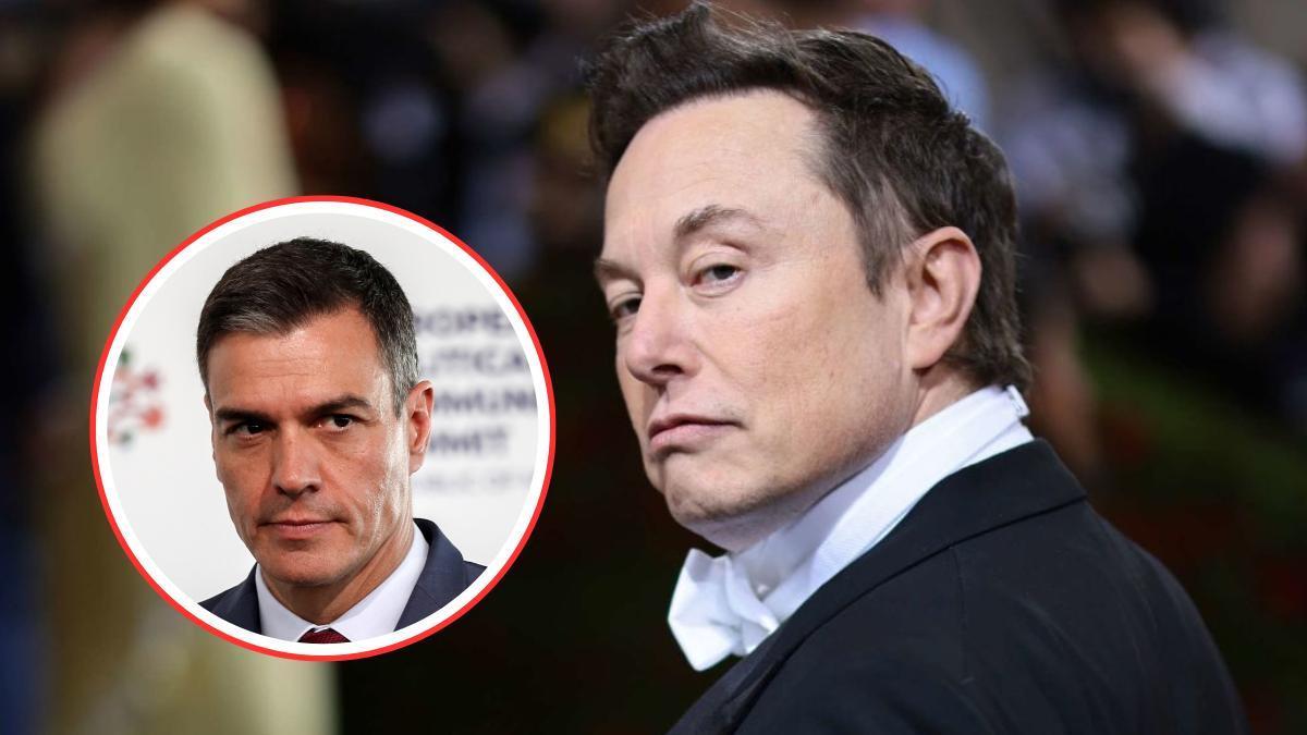 El presidente del Gobierno, Pedro Sánchez, responde a Elon Musk tras valorar la regularización de migrantes.