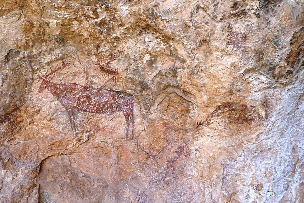Pinturas en Cañaica del Calar (Moratalla).