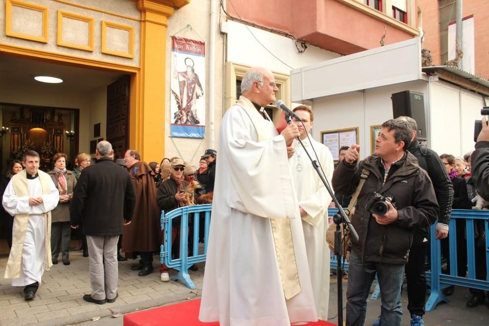 Bendición de San Antón en Murcia