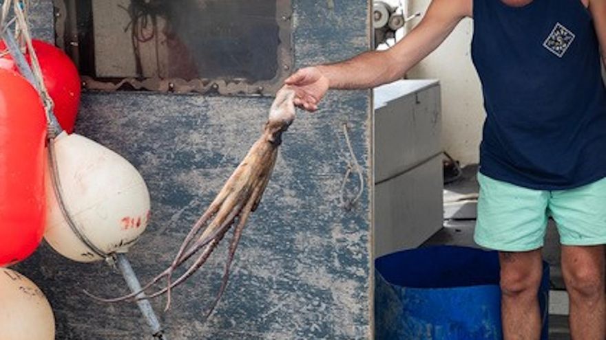 Un pescador de pop roquer a cap de Creus