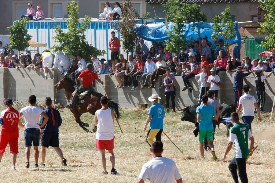 Encierro Guarrate