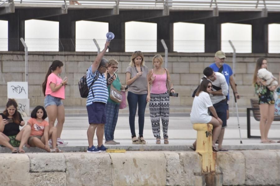 Más de 250 nadadores celebran el centenario de la Vuelta a la Escollera