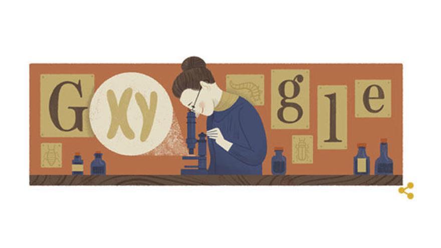 El doodle de Nettie Stevens.