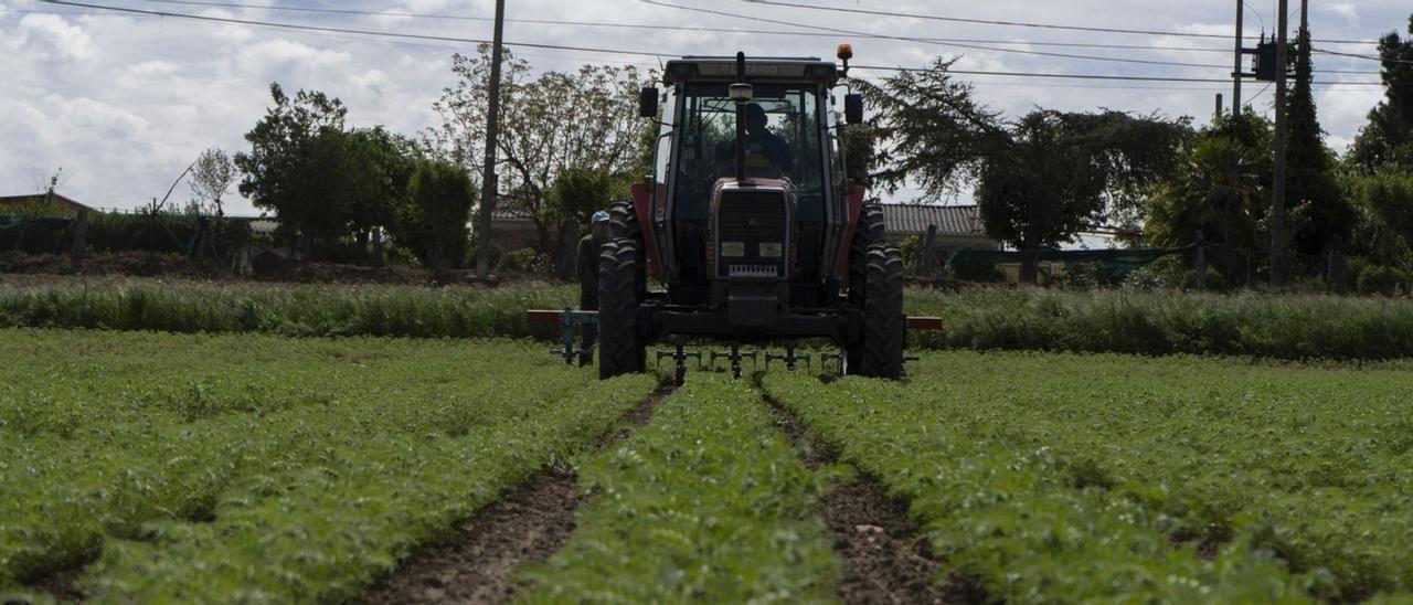 Un tractor trabajando en la comarca de La Guareña