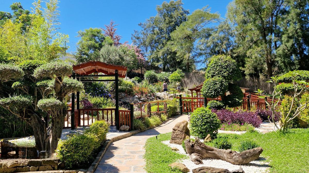 Así es el Jardín Botánico Molino de Inca, en Torremolinos, y su jardín japonés