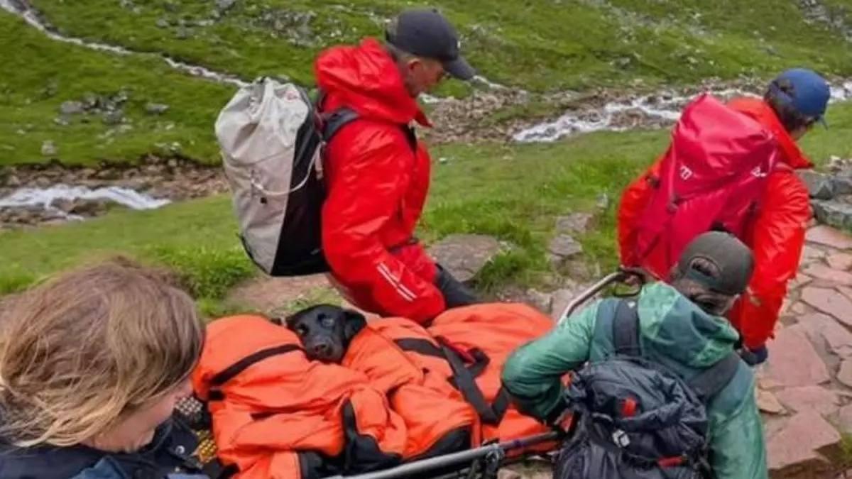 La Tokyo, durant el seu rescat després d’haver ingerit cànnabis durant una excursió al Ben Nevis