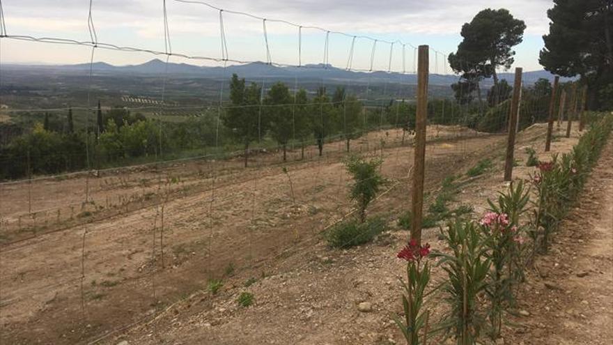 El ecocamping amplía su zona de acampada