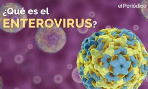 Vídeo gràfic explicatiu del brot infecciós del serotipus A-71 de l’enterovirus, causant de la infecció de menors a Catalunya.