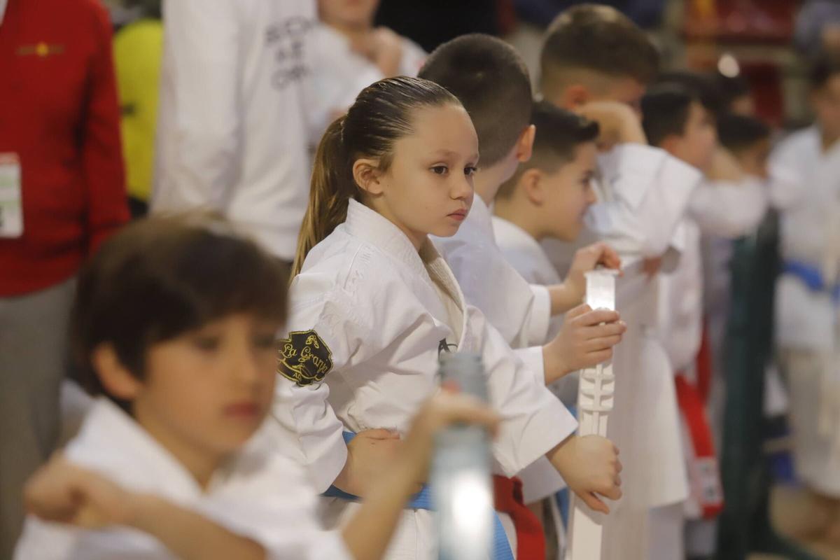 El Campeonato de Andalucía infantil de karate, en imágenes