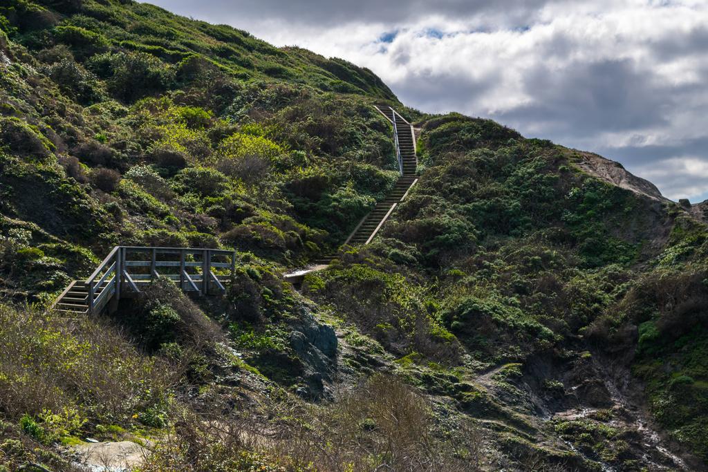 Desde Baker Beach nacen diferentes senderos por la naturaleza