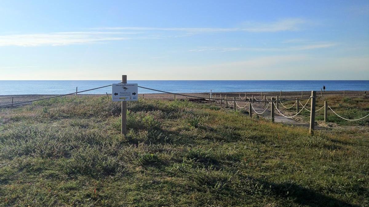 La platja, espai natural o parc temàtic?