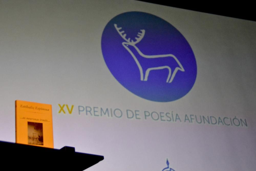 Estíbaliz Espinosa, Premio de Poesía Afundación