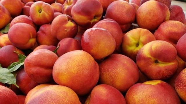 Nectarines, en una imatge d'arxiu.