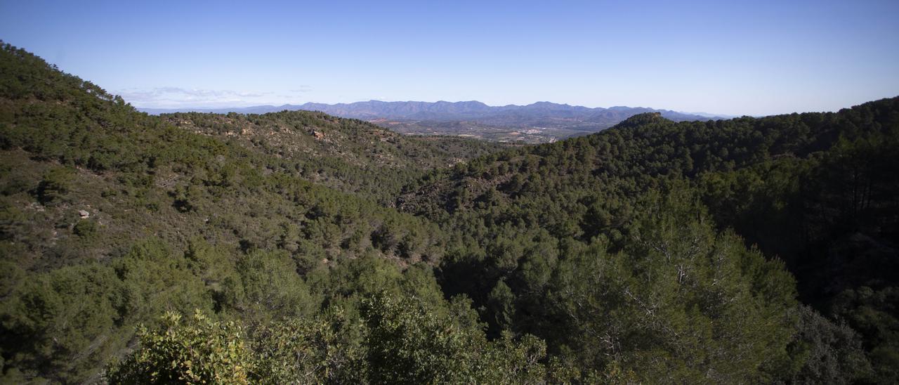 Panorámica de la Calderona.