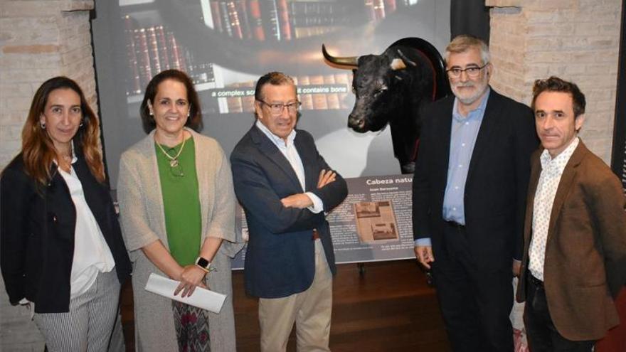 El Museo Taurino expone sus fondos