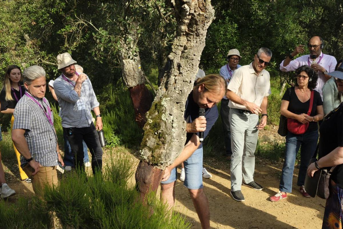 Representantes de varias regiones visitan un bosque en Les Gavarres.