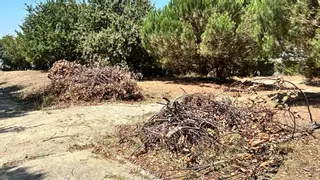 O PP reclama a retirada dos restos das rozas no Monte de Conxo