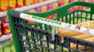 Esta es la decisión de Mercadona con los carritos de compra de sus supermercados