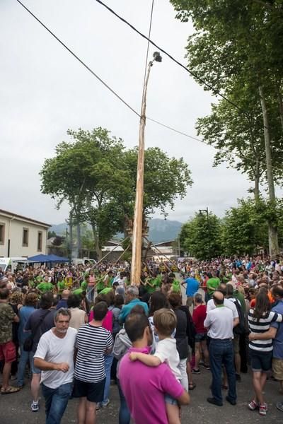 Celoriu planta su hoguera