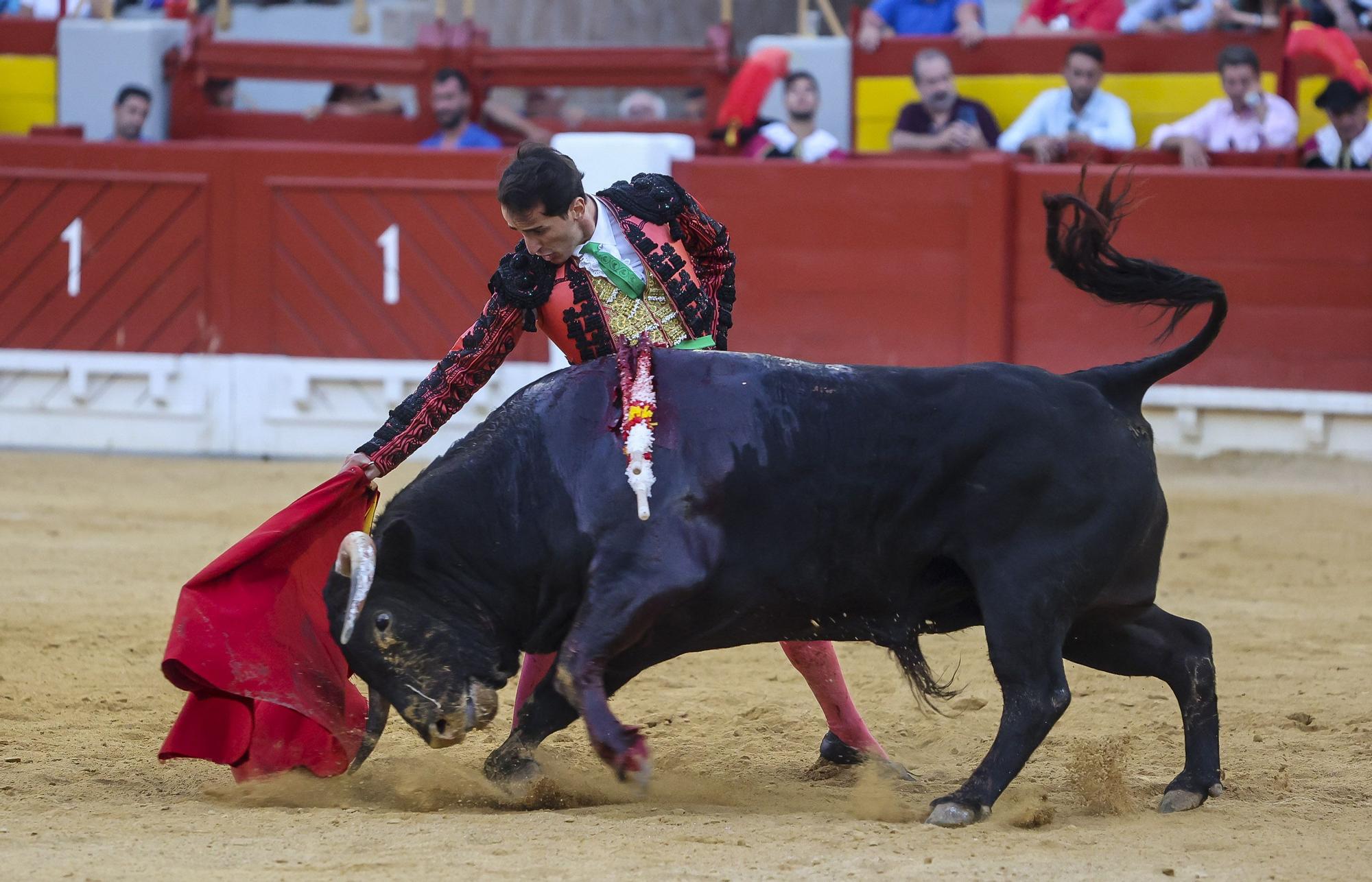 Novillada de Zacarías Moreno para cerrar la Feria de Hogueras