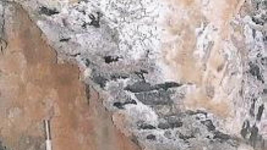 La Tejería y el Abejar de la Hoya, declarados yacimientos arqueológicos