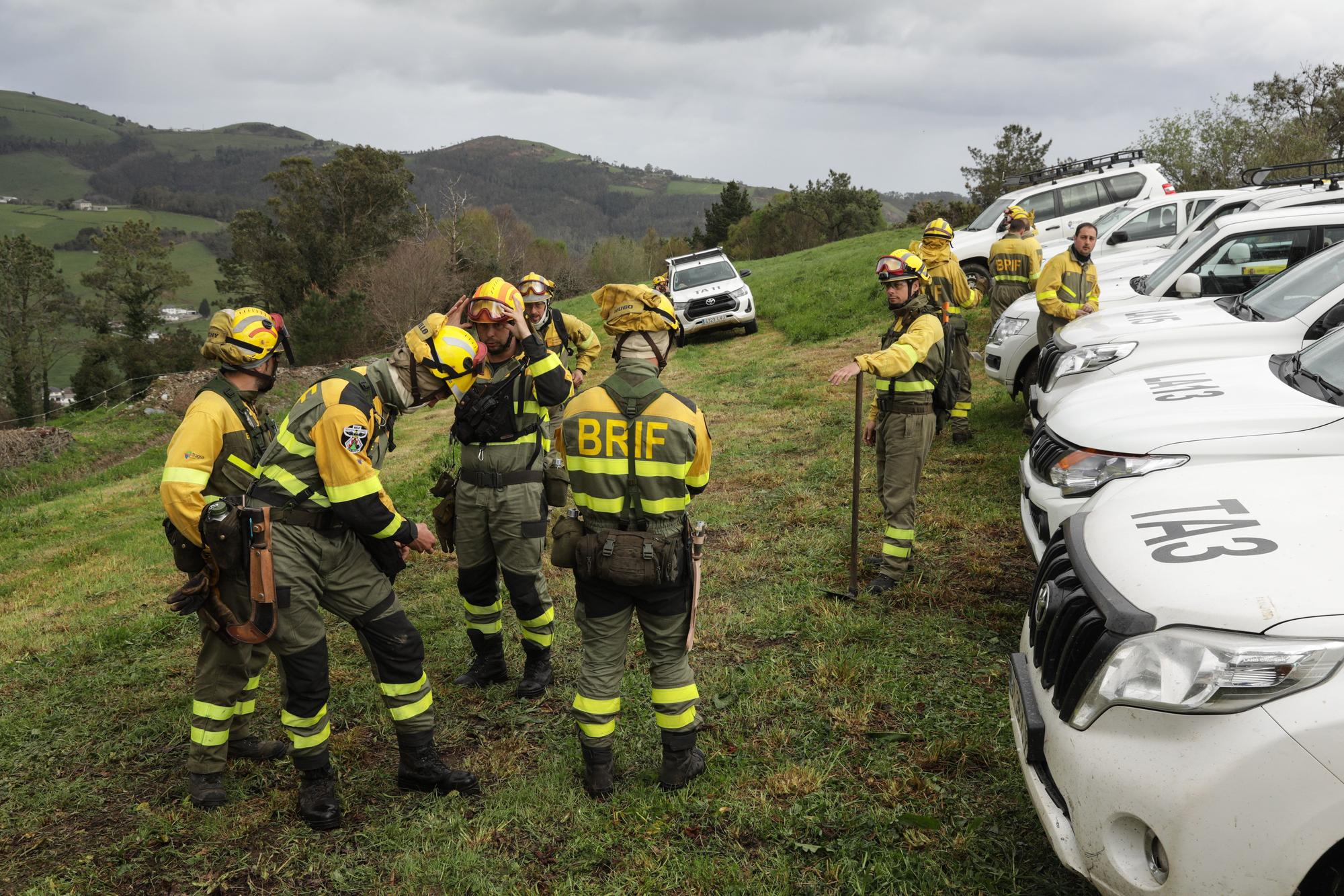 Trabajos de extinción de los incendios en Valdés