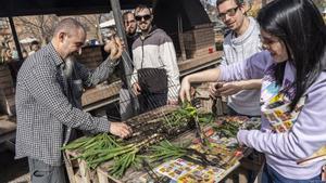 La història real de la calçotada a Catalunya: tot va començar per un descuit