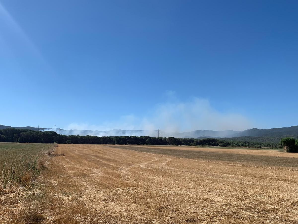 Un incendi de vegetació talla la GI-660 a la Bisbal d’Empordà Un incendi de vegetació talla la GI-660 a la Bisbal d’Empordà