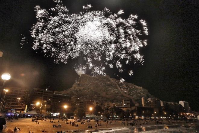 Palmera de las Hogueras 2020