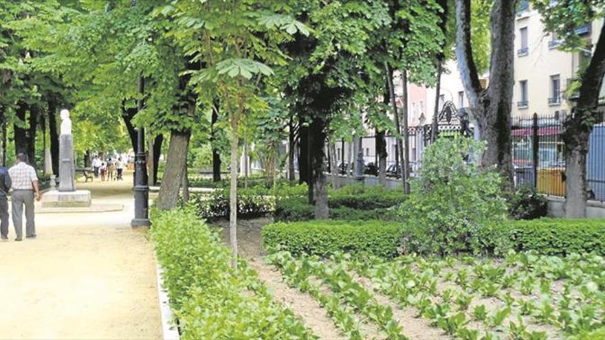 Echan nuevo firme para el Parque Alcántara Romero