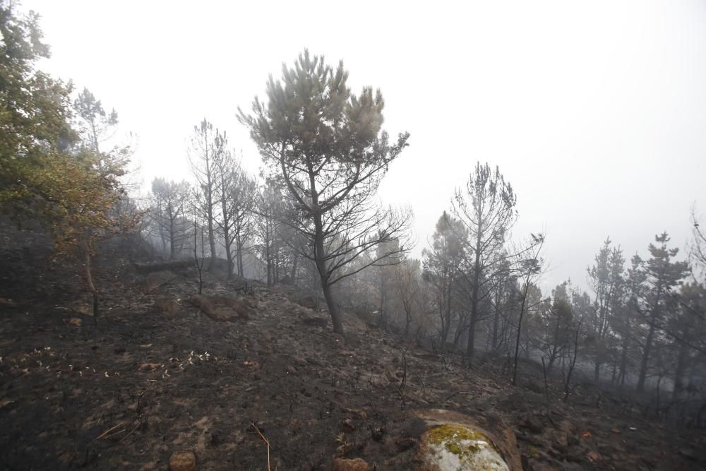 Incendios en Galicia | Vigo, cercado por el fuego