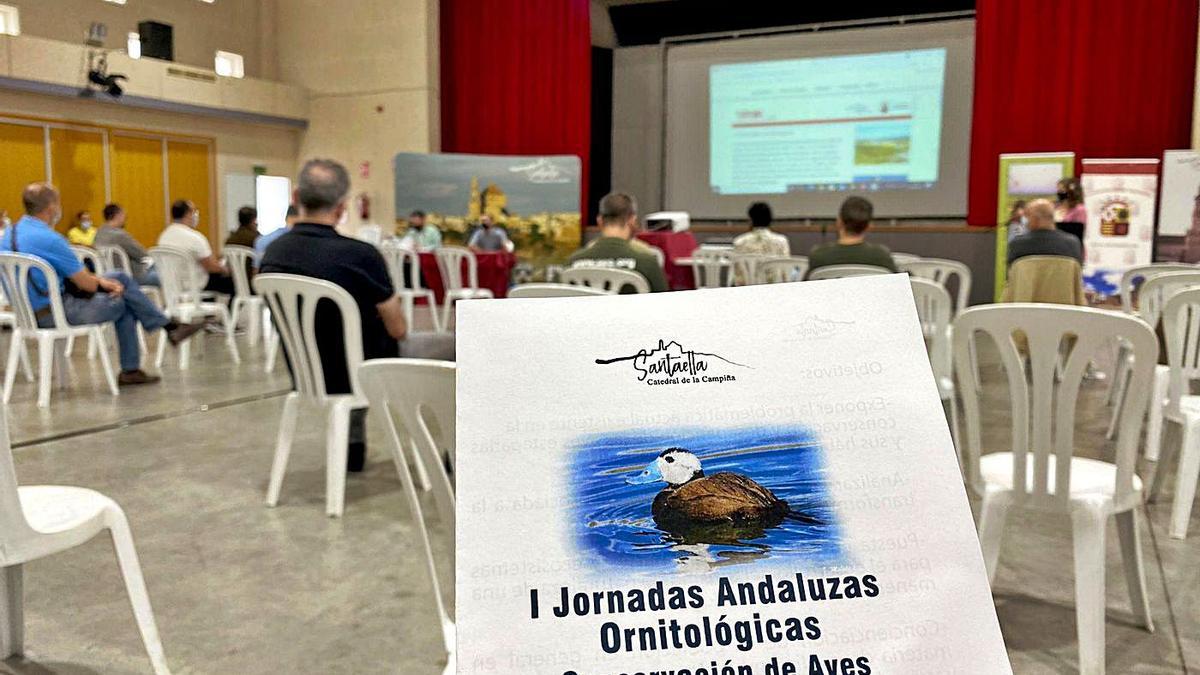 Las I Jornadas Ornitológicas Andaluzas reunieron en Santaella a expertos procedentes de toda Andalucía.