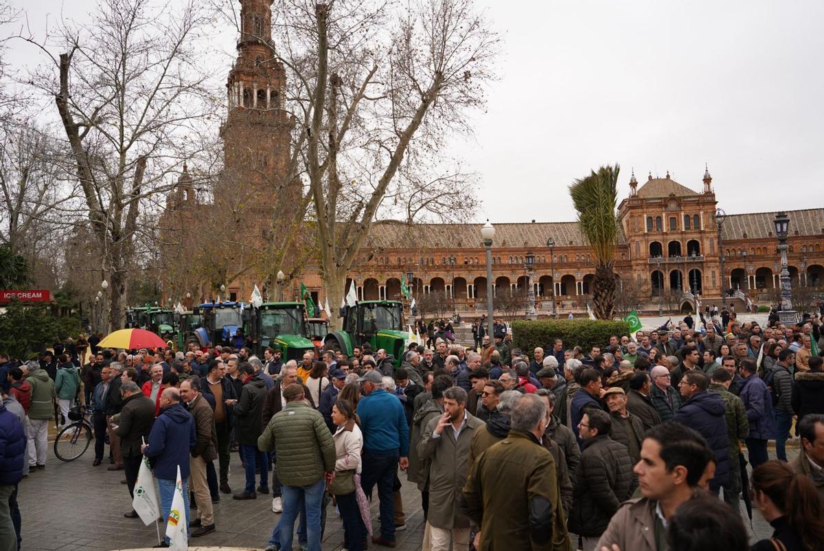 Protestas en la Plaza de España. Protestas en la Plaza de España.