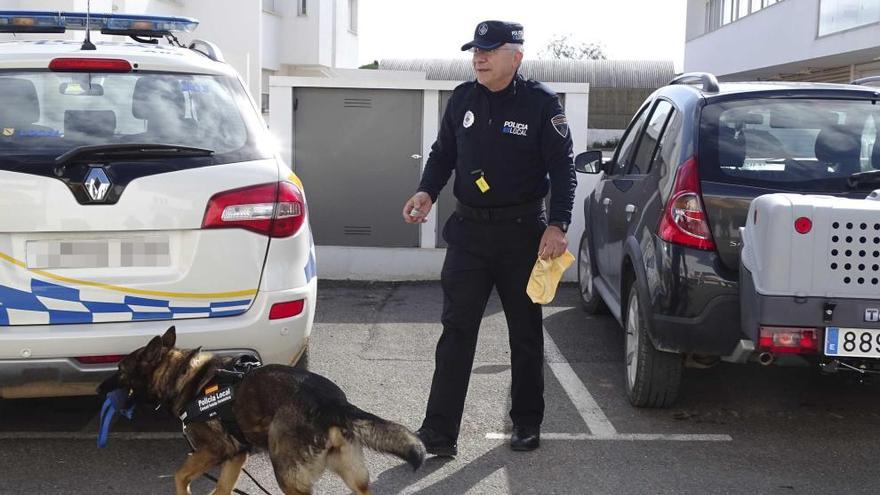 Neta encuentra una bolsita de marihuana que lleva su adiestrador, Andreu Torres, en la mano.