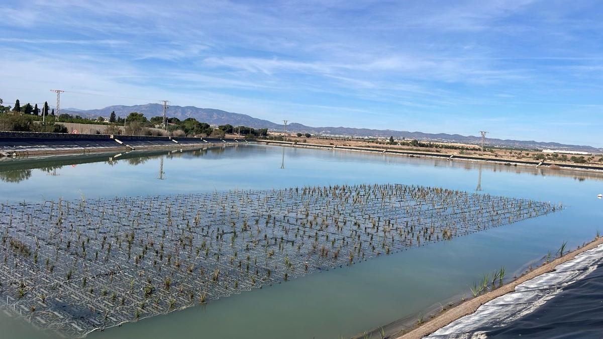 La integración de las infraestructuras de riego en el paisaje natural constituye una de las prioridades de la CRCC